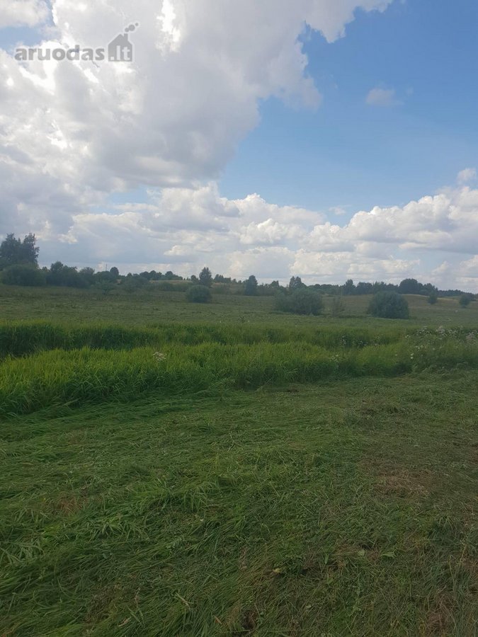 Parduodamas !0,4 ha sklypas, pievų ir - nuotraukos Nr. 8