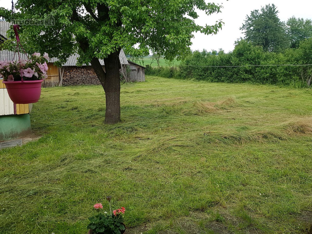 Parduodama sodyba Papiškių kaime, šalia yra - nuotraukos Nr. 8