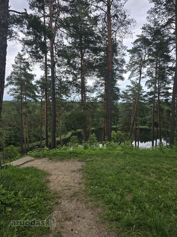Sodybviete 1,60 ha su 200m smeletos ežero - nuotraukos Nr. 30