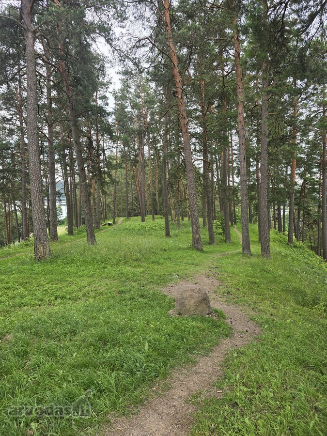 Sodybviete 1,60 ha su 200m smeletos ežero - nuotraukos Nr. 31