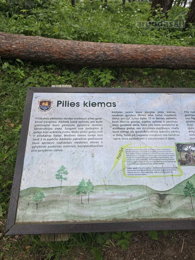 Sodybviete 1,60 ha su 200m smeletos ežero - nuotraukos Nr. 32