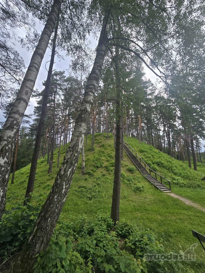 Sodybviete 1,60 ha su 200m smeletos ežero - nuotraukos Nr. 3