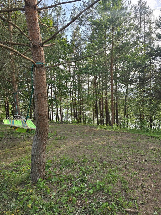 Sodybviete 1,60 ha su 200m smeletos ežero - nuotraukos Nr. 35