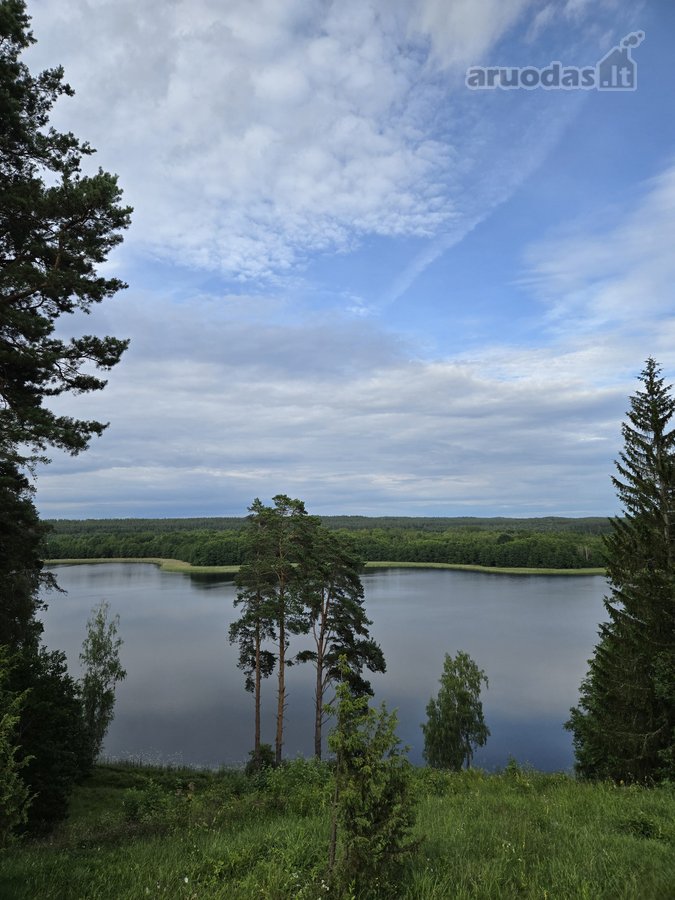 Sodybviete 1,60 ha su 200m smeletos ežero - nuotraukos Nr. 4