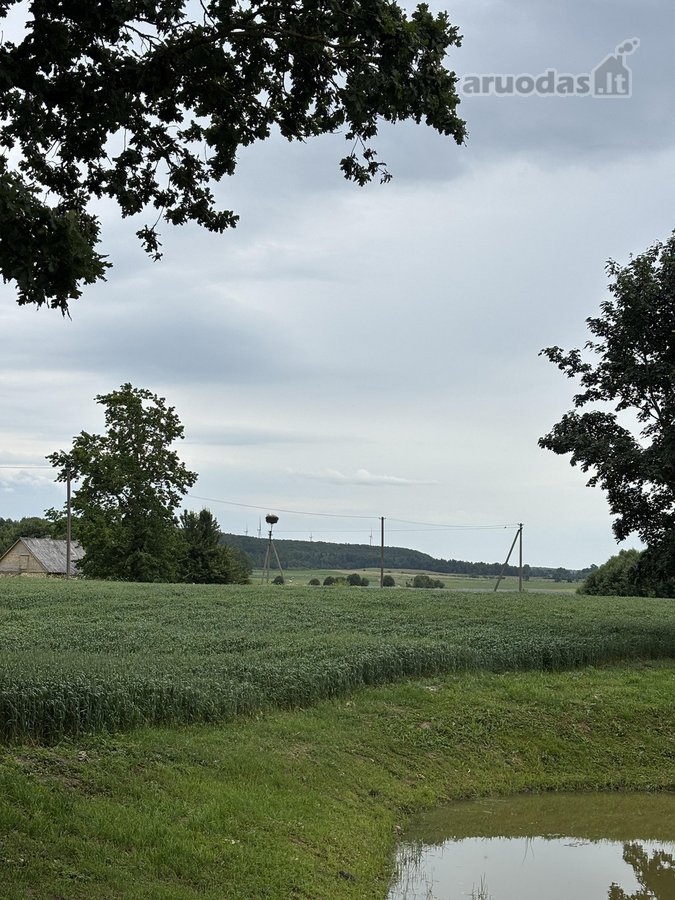 Parduodama tvarkinga, 3 kambarių 52,88 kv. m. - nuotraukos Nr. 22