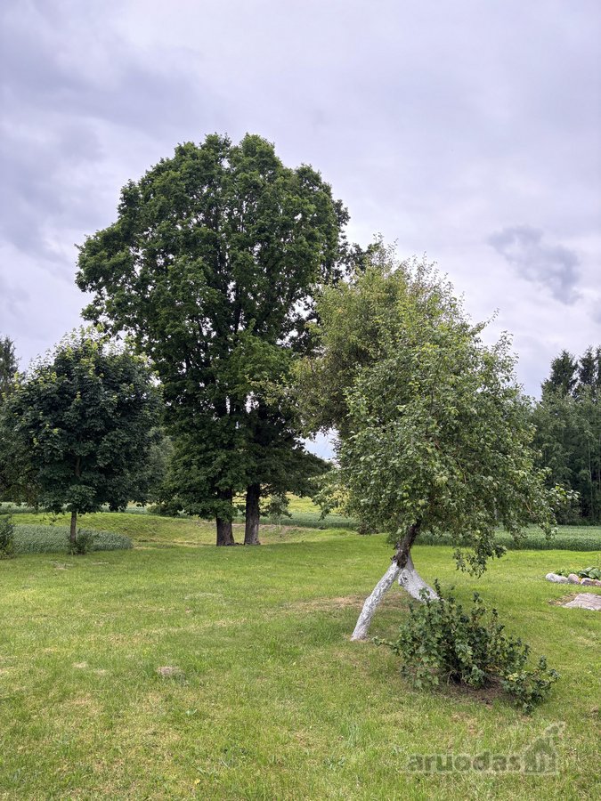 Parduodama tvarkinga, 3 kambarių 52,88 kv. m. - nuotraukos Nr. 21