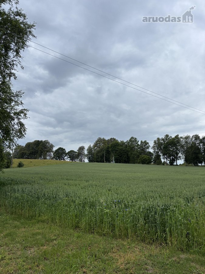 Parduodama tvarkinga, 3 kambarių 52,88 kv. m. - nuotraukos Nr. 29