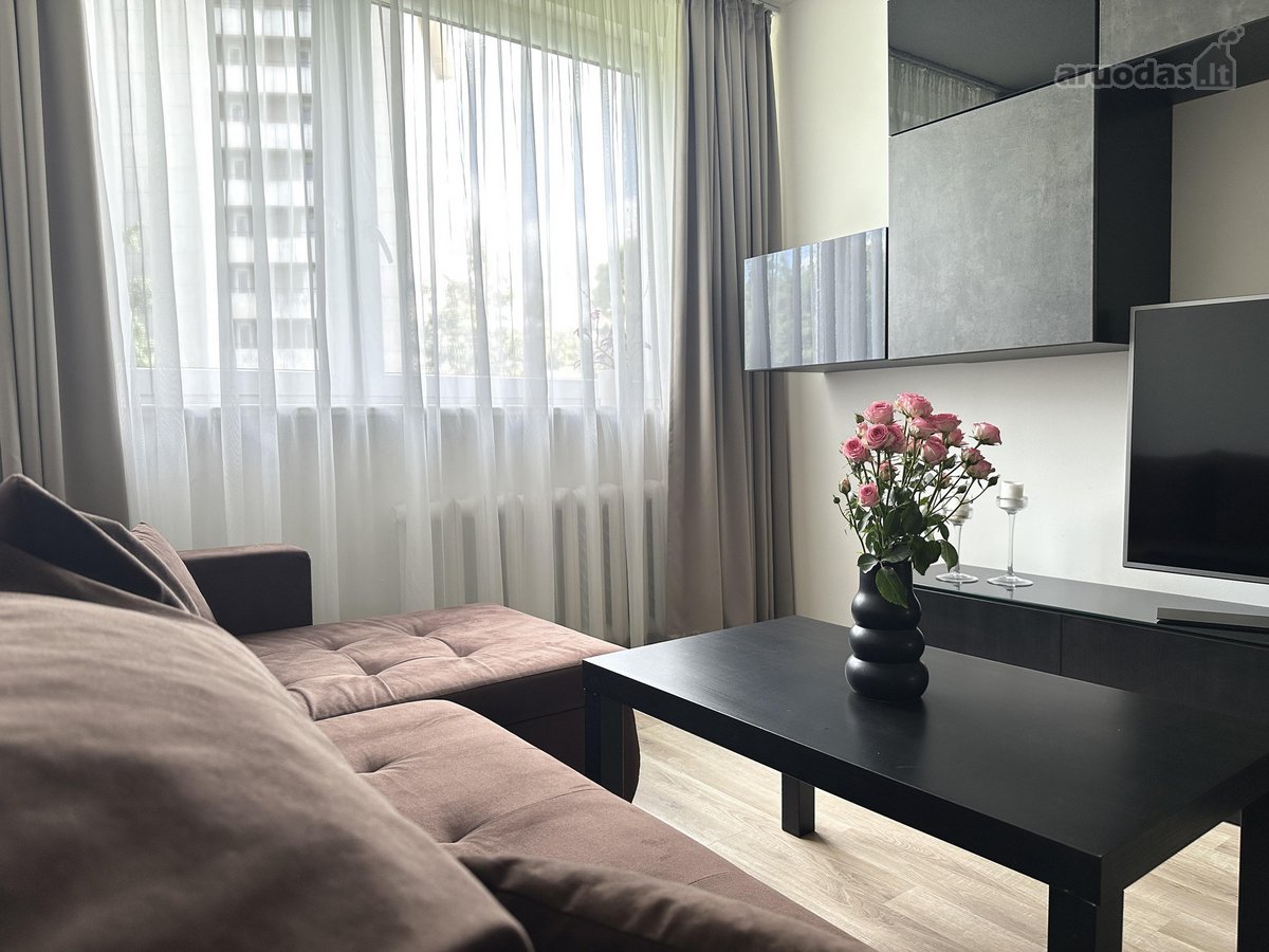 Išnuomojamas jaukus 2 kambarių butas Vilniaus - nuotraukos Nr. 3