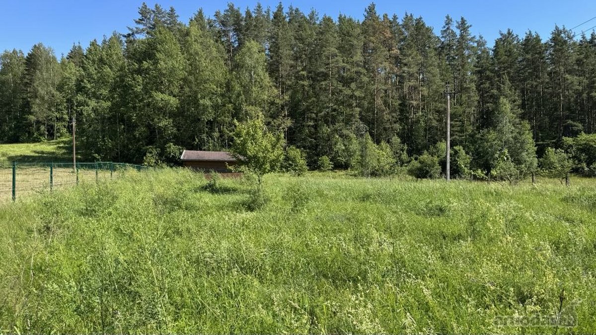 Išskirtinėje vietoje, 20 km nuo Vlniaus - nuotraukos Nr. 5