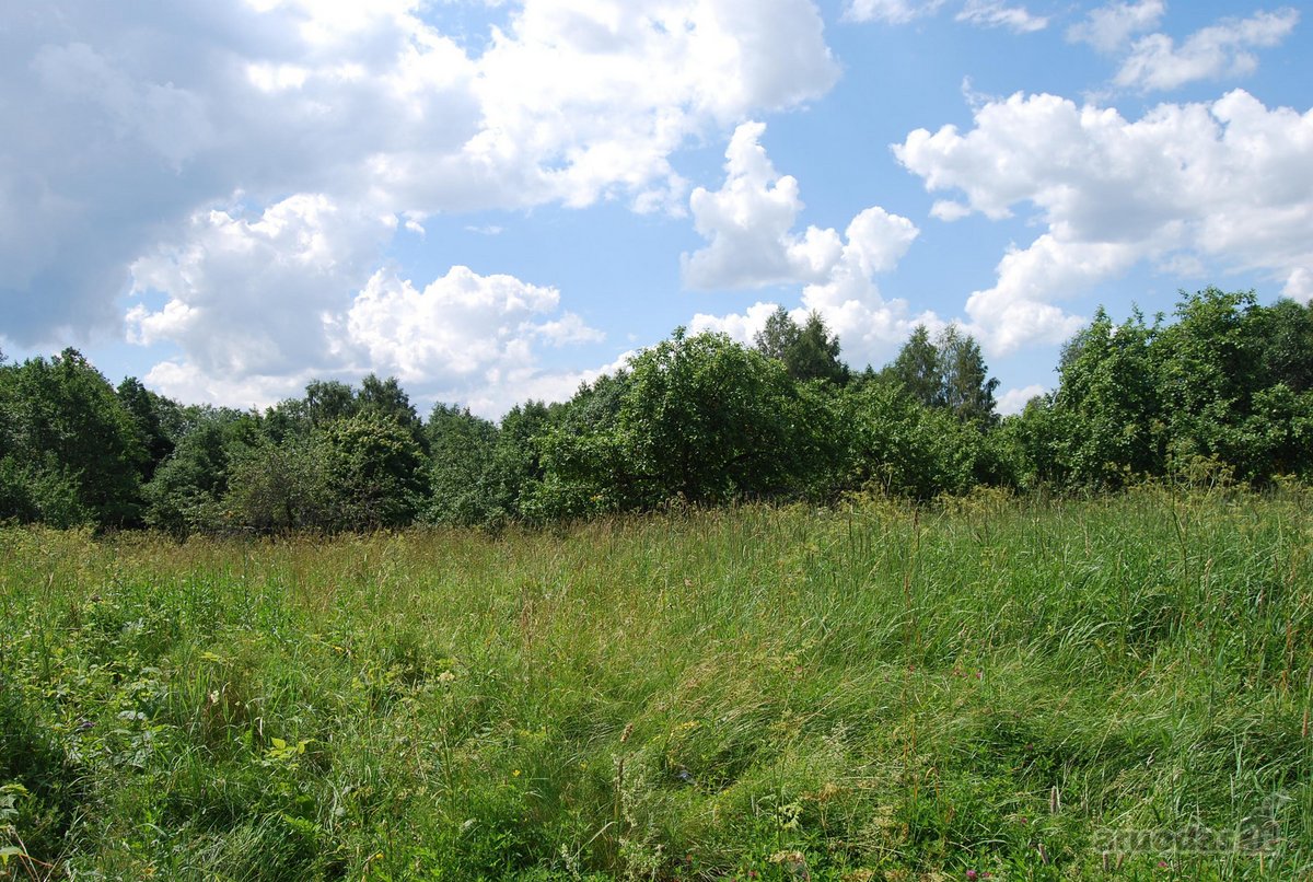 Parduodamas 6 ha žemės ūkio paskirties - nuotraukos Nr. 9