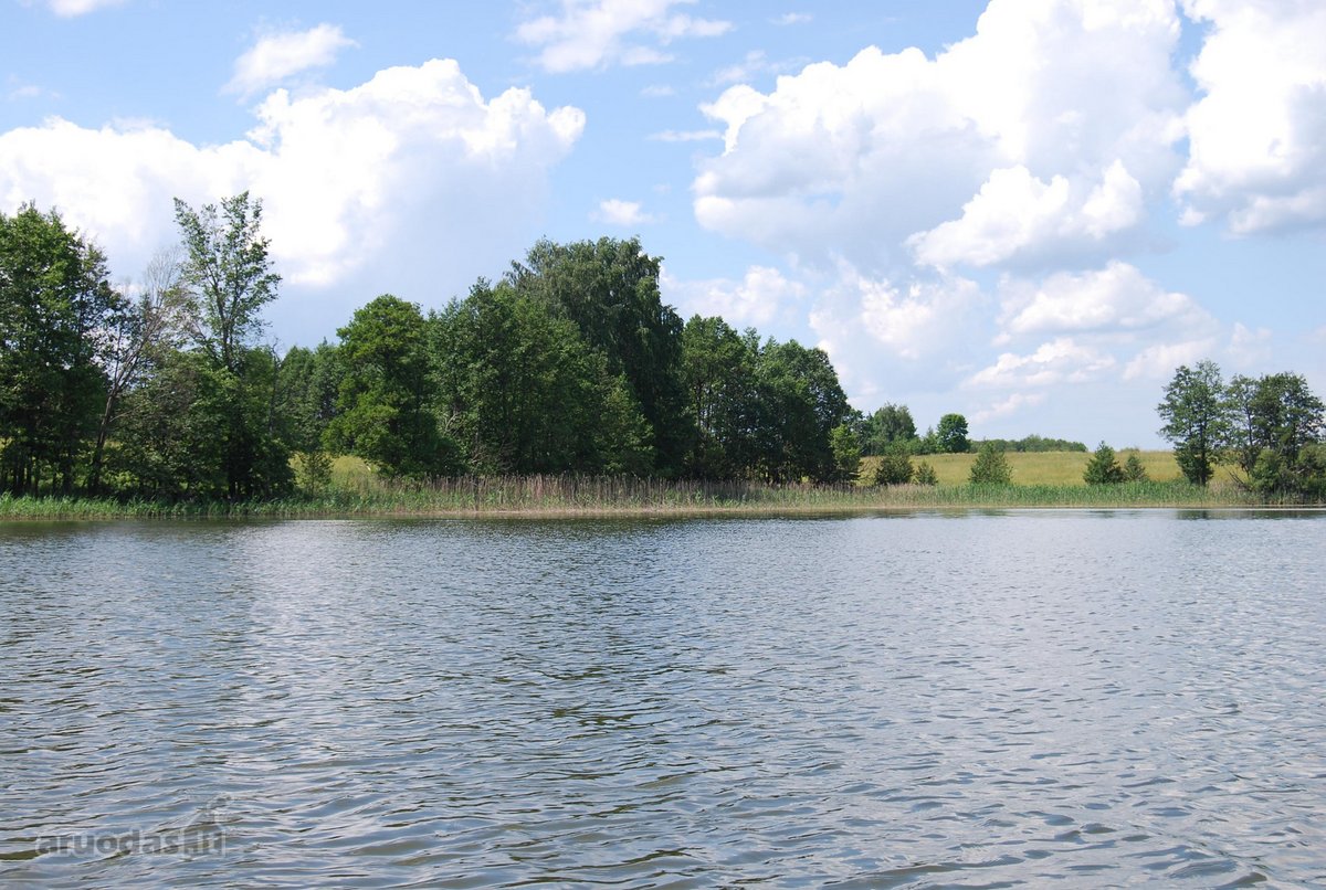Parduodamas 6 ha žemės ūkio paskirties - nuotraukos Nr. 3