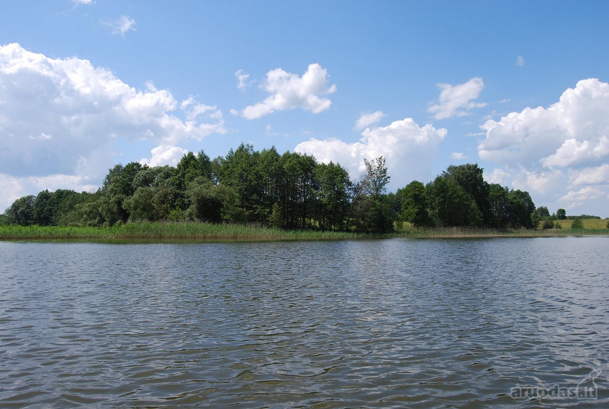 Parduodamas 6 ha žemės ūkio paskirties - nuotraukos Nr. 10