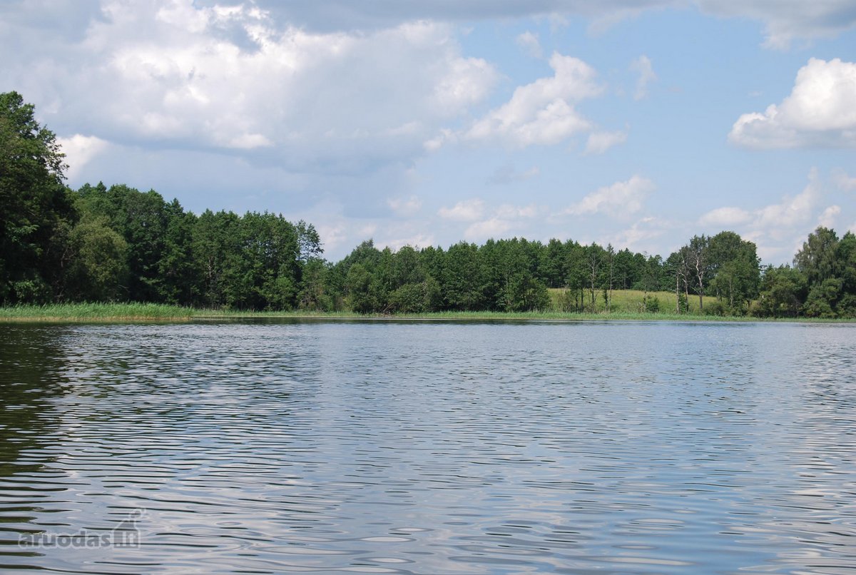 Parduodamas 6 ha žemės ūkio paskirties - nuotraukos Nr. 11