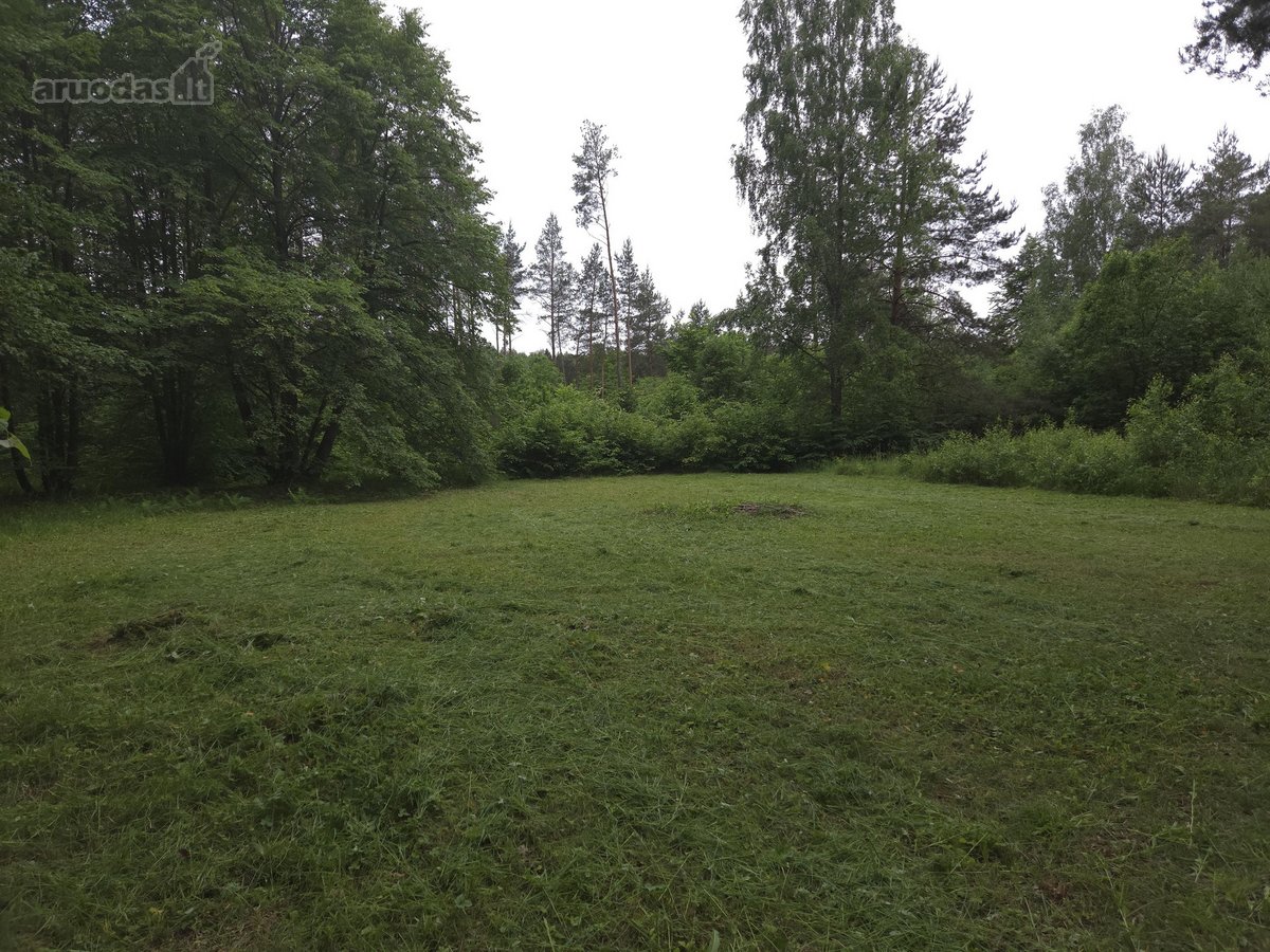 Šalia dviračių tako Birštonas-prienai,