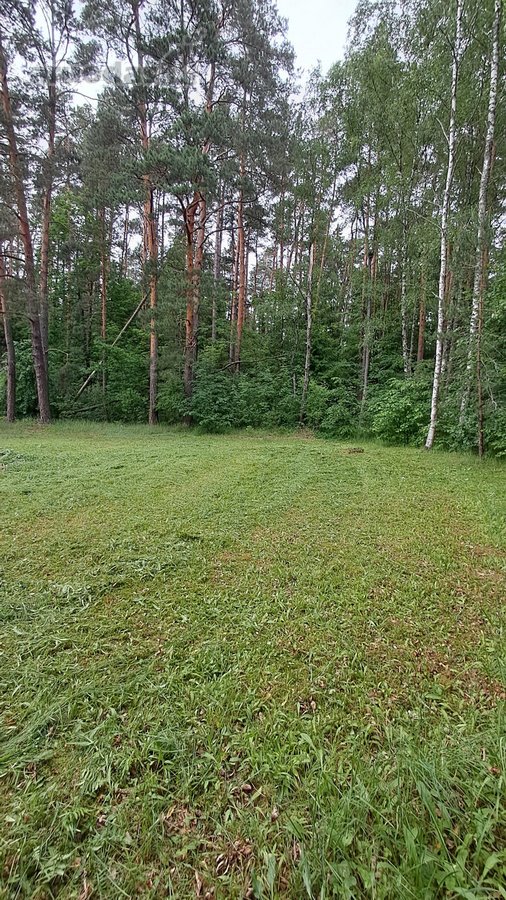 Šalia dviračių tako Birštonas-prienai, - nuotraukos Nr. 5