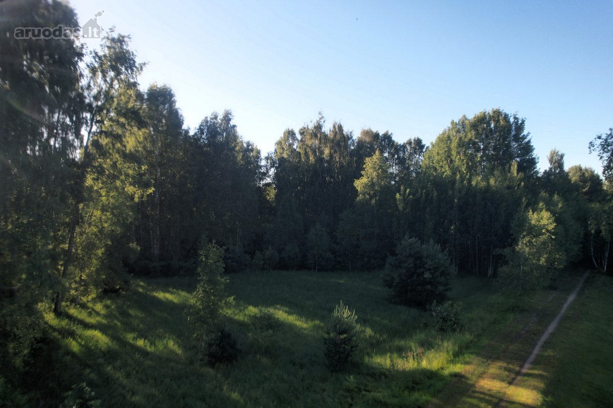 Šiaulių miesto ribose, šalia miško,