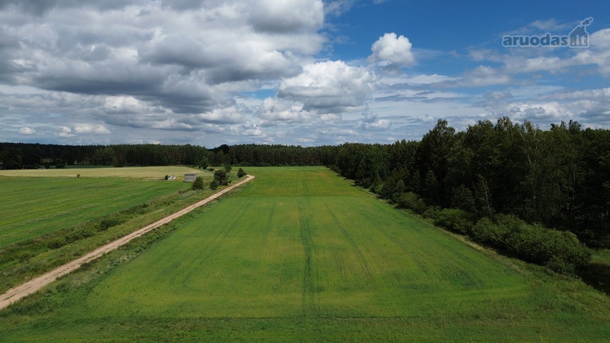 Parduodamas 76.33 Arų Žemės Sklypas Kuro K. - nuotraukos Nr. 3