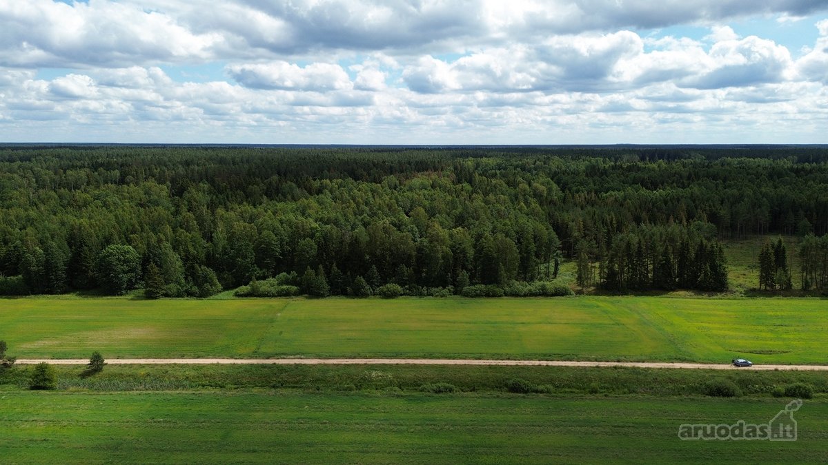 Parduodamas 76.33 Arų Žemės Sklypas Kuro K. - nuotraukos Nr. 7