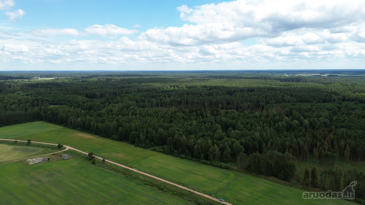 Parduodamas 76.33 Arų Žemės Sklypas Kuro K. - nuotraukos Nr. 10