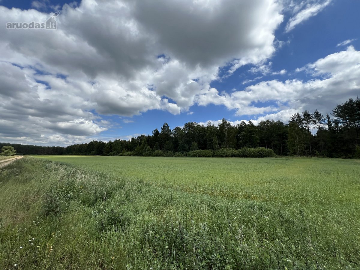 Parduodamas 76.33 Arų Žemės Sklypas Kuro K. - nuotraukos Nr. 12