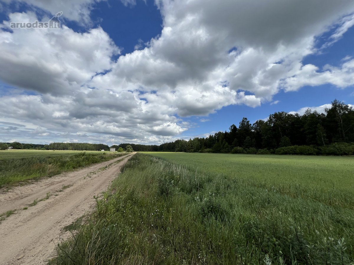 Parduodamas 76.33 Arų Žemės Sklypas Kuro K. - nuotraukos Nr. 13