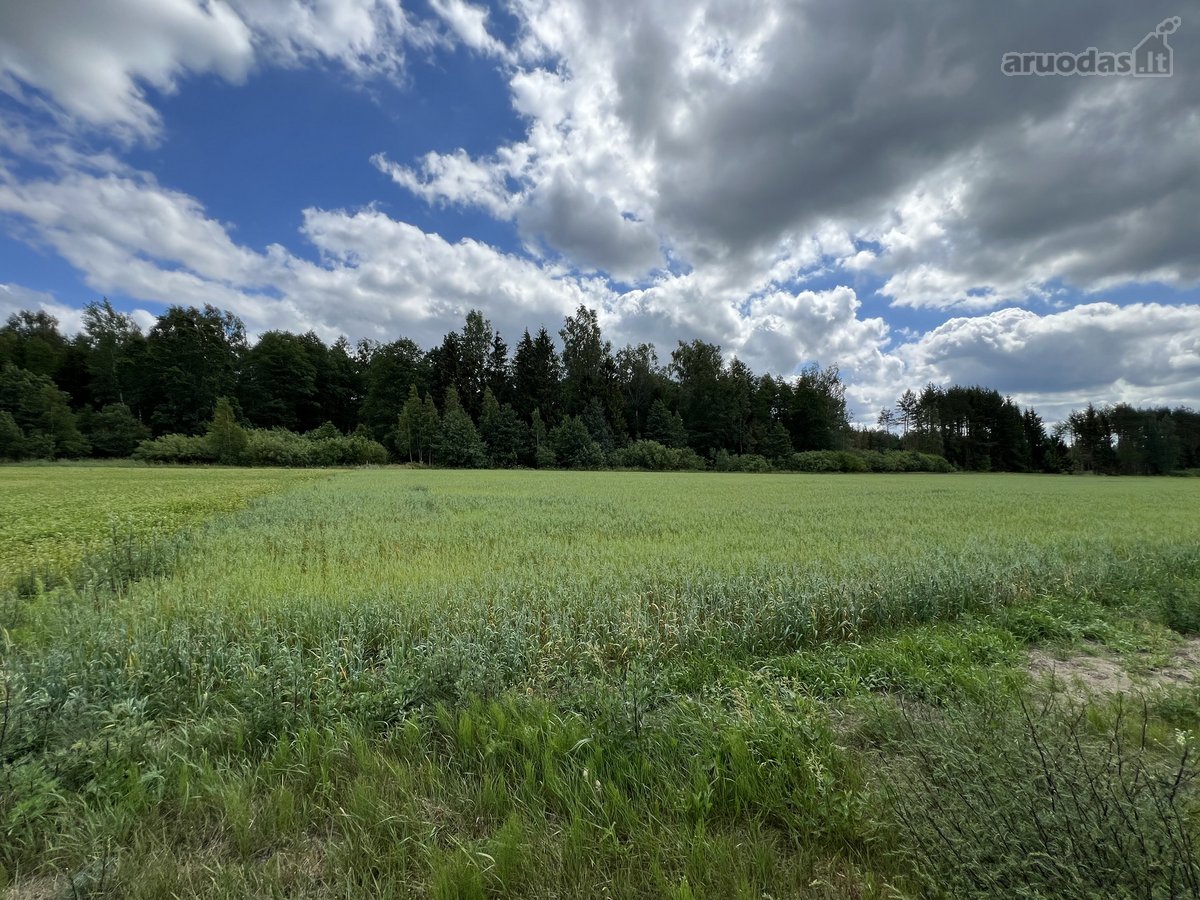Parduodamas 76.33 Arų Žemės Sklypas Kuro K. - nuotraukos Nr. 15