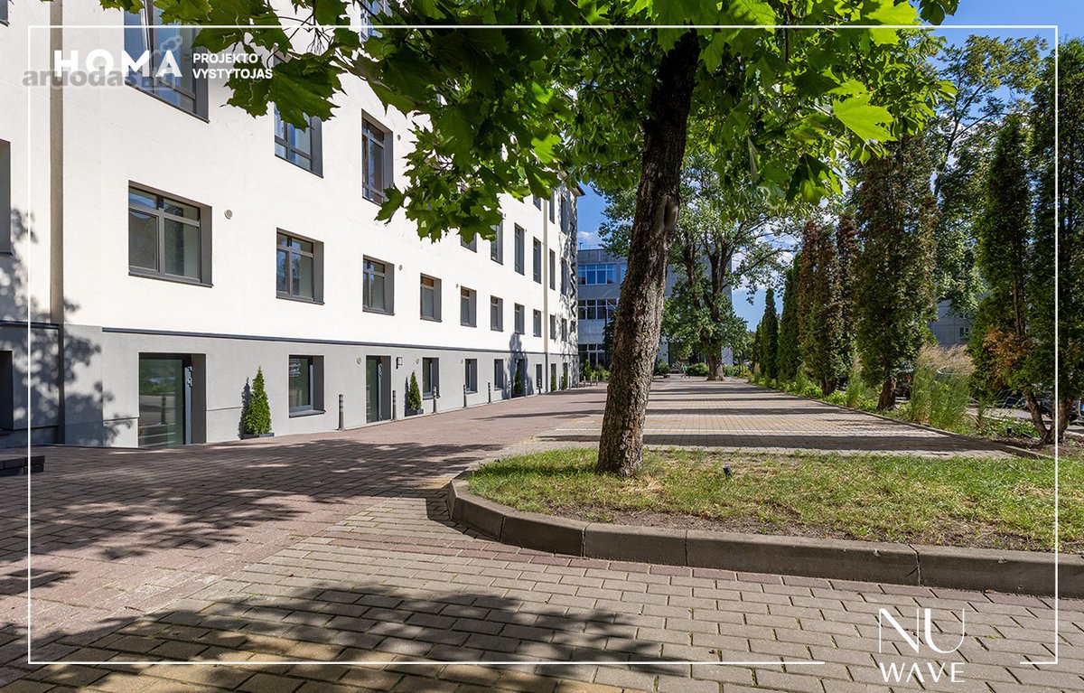 „Nu Wave“ – studijos tipo būstai