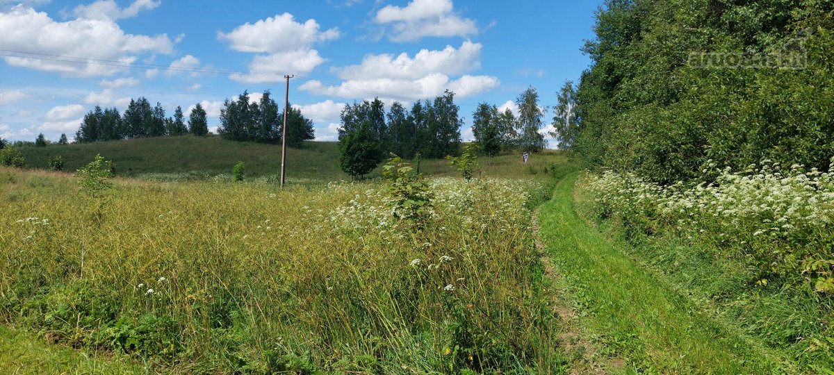 Parduodu 0.28ha žemės sklypą Utenos rajone. - nuotraukos Nr. 3