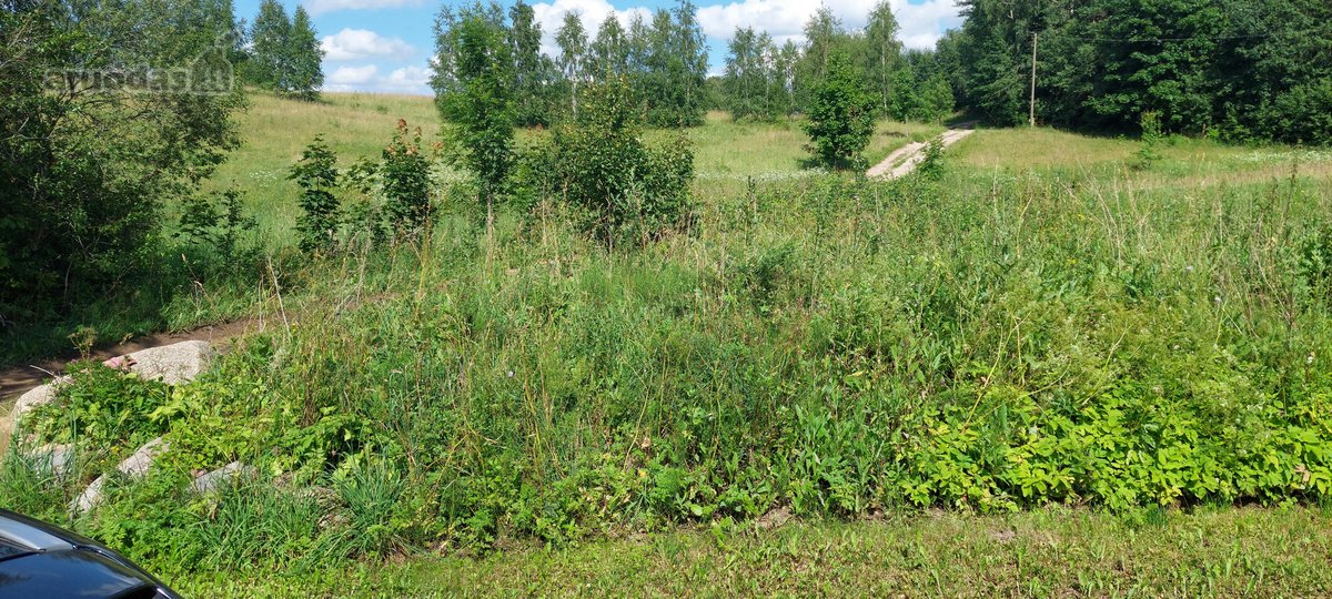 Parduodu 0.28ha žemės sklypą Utenos rajone. - nuotraukos Nr. 4