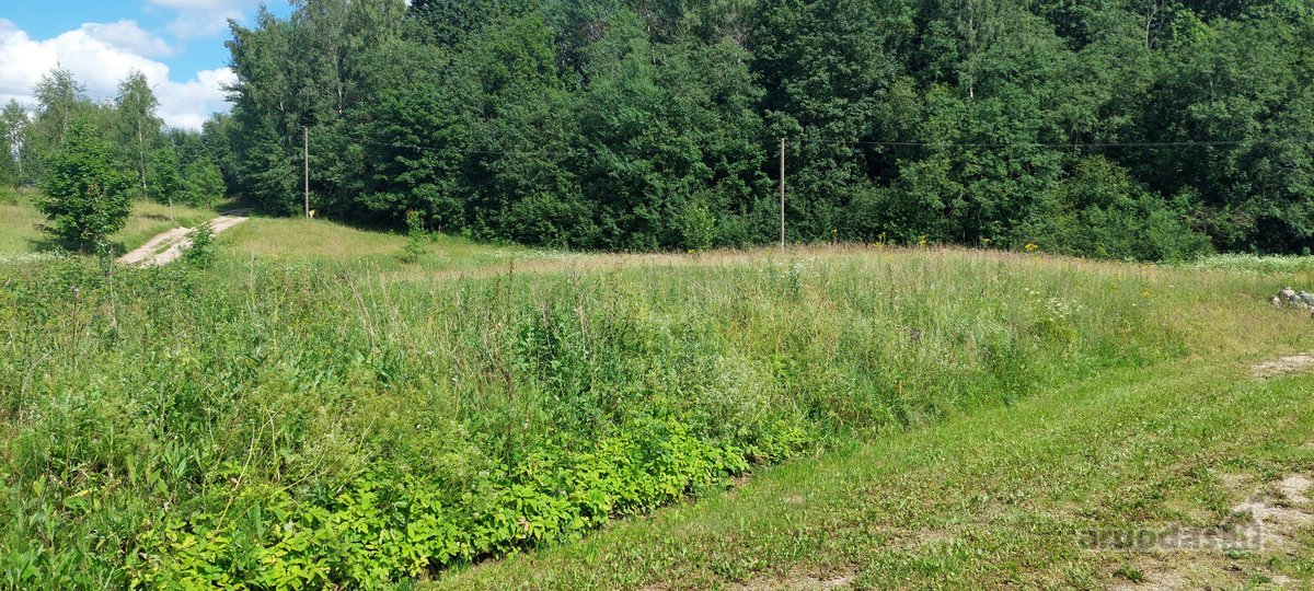 Parduodu 0.28ha žemės sklypą Utenos rajone. - nuotraukos Nr. 5