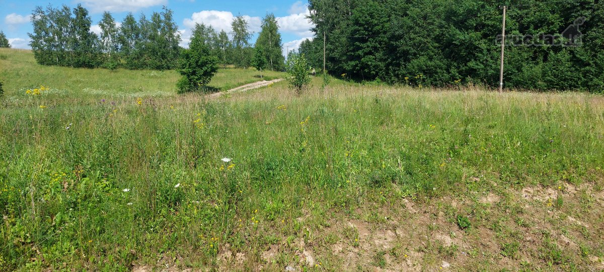 Parduodu 0.28ha žemės sklypą Utenos rajone. - nuotraukos Nr. 6
