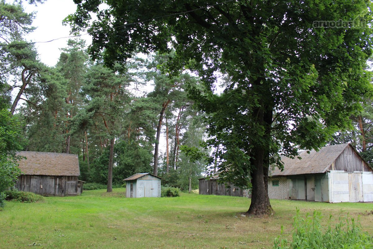 Parduodama Išskirtinė Sodyba Prienų Raj., - nuotraukos Nr. 15
