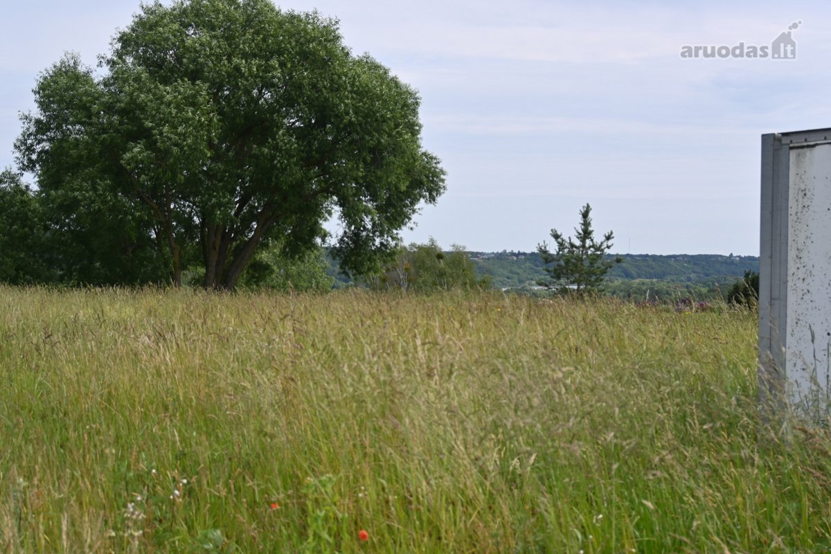 Parduodamas 30a namų valdos sklypas Zapyškyje - nuotraukos Nr. 2