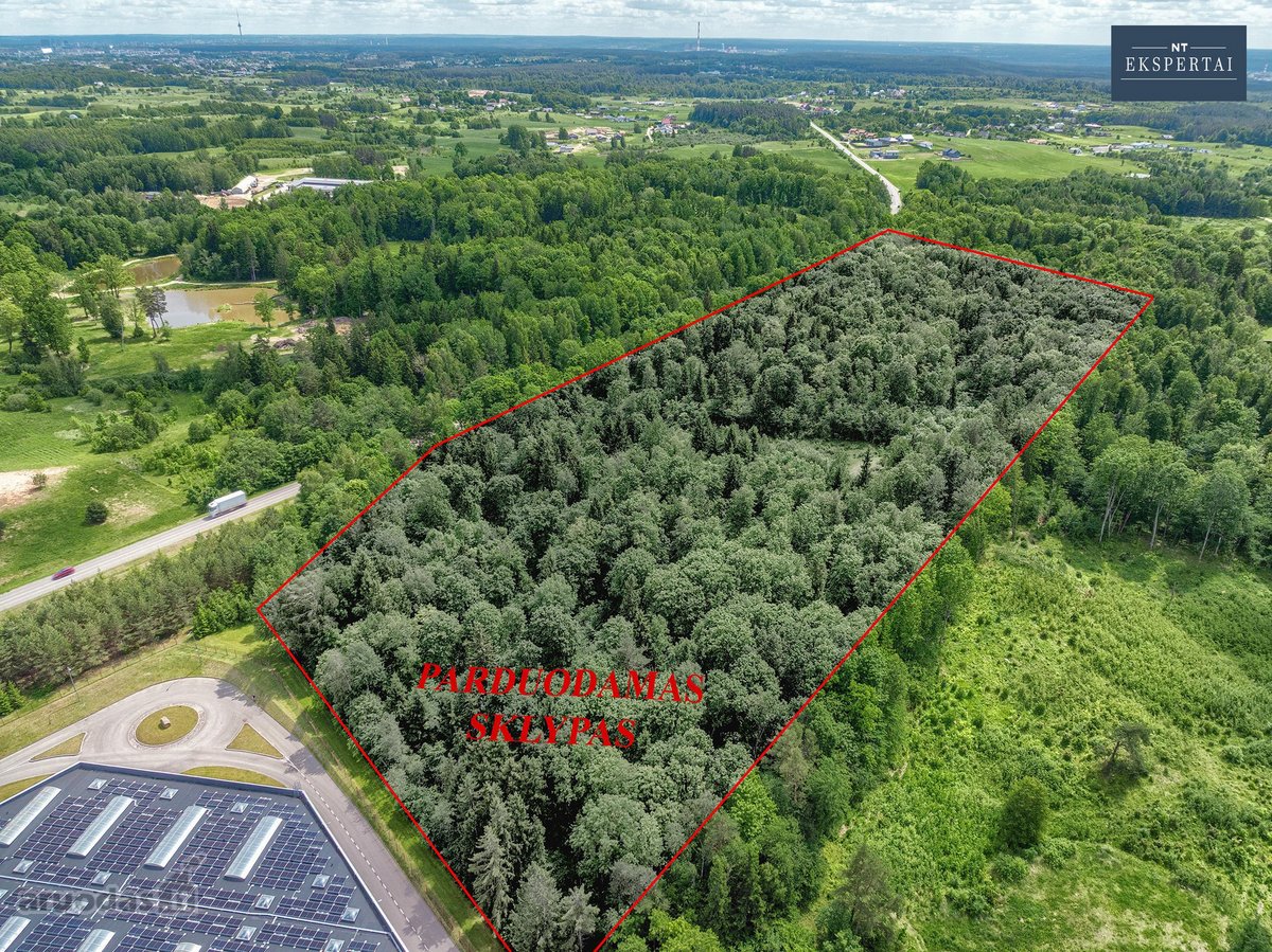 Vilniaus rajone,čekoniškių kaime,buivydiškių - nuotraukos Nr. 5