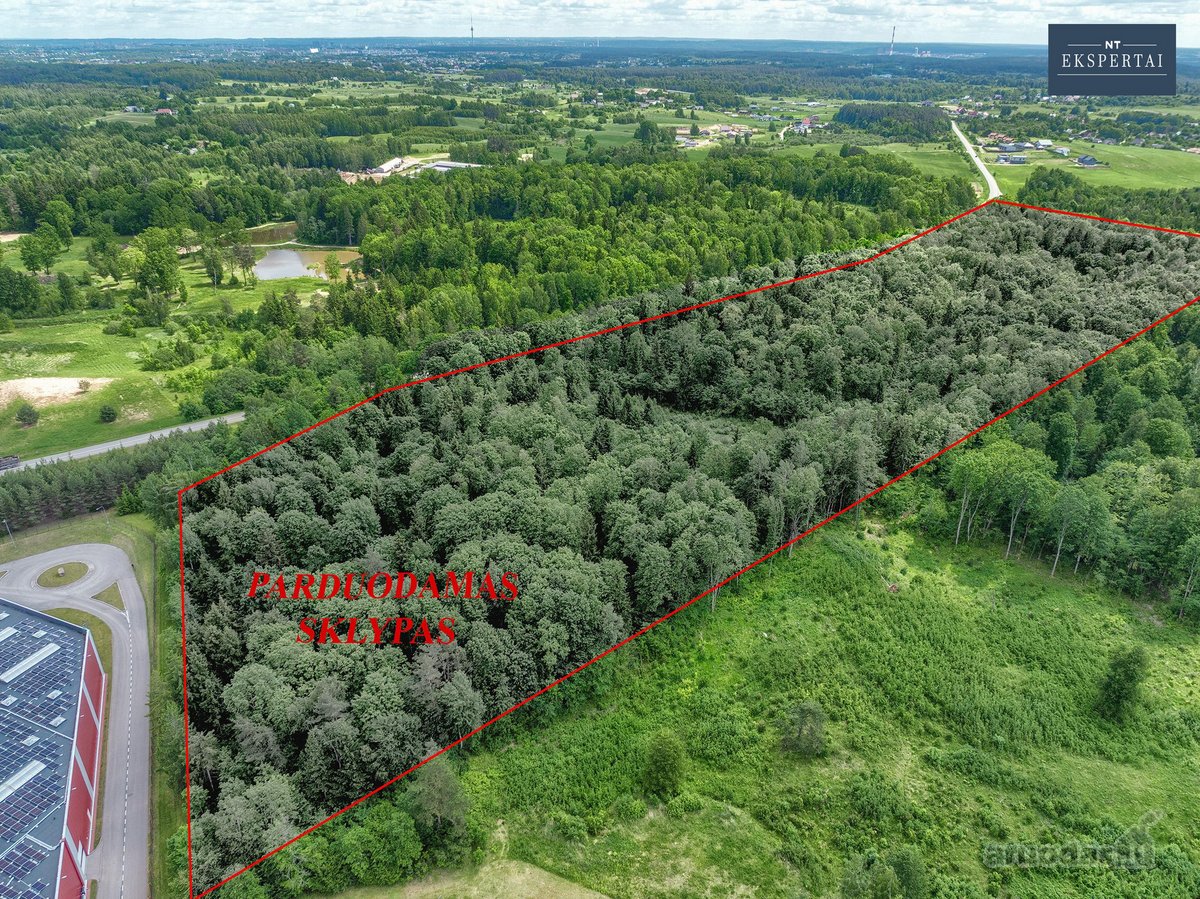 Vilniaus rajone,čekoniškių kaime,buivydiškių - nuotraukos Nr. 6