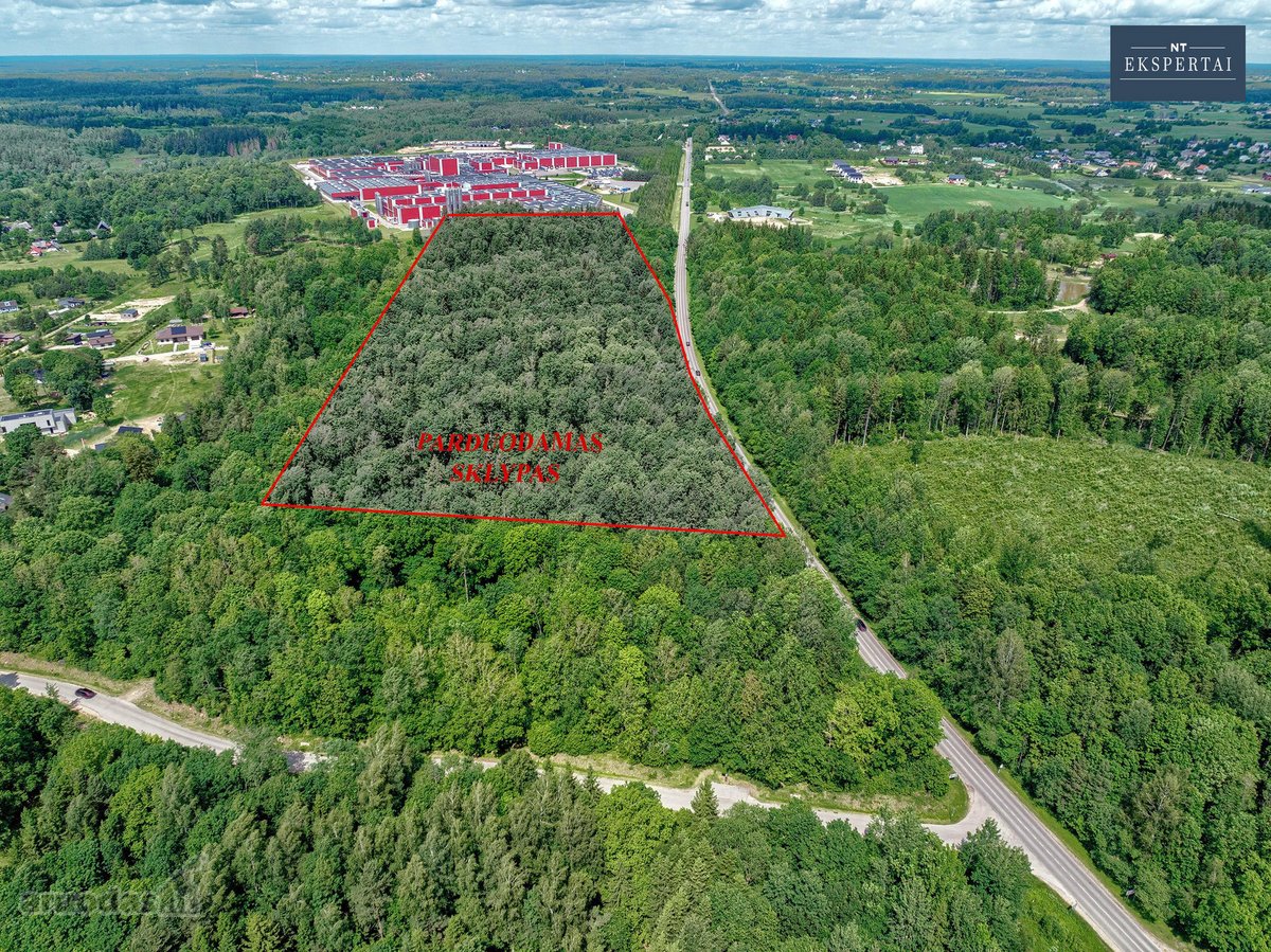 Vilniaus rajone,čekoniškių kaime,buivydiškių - nuotraukos Nr. 2