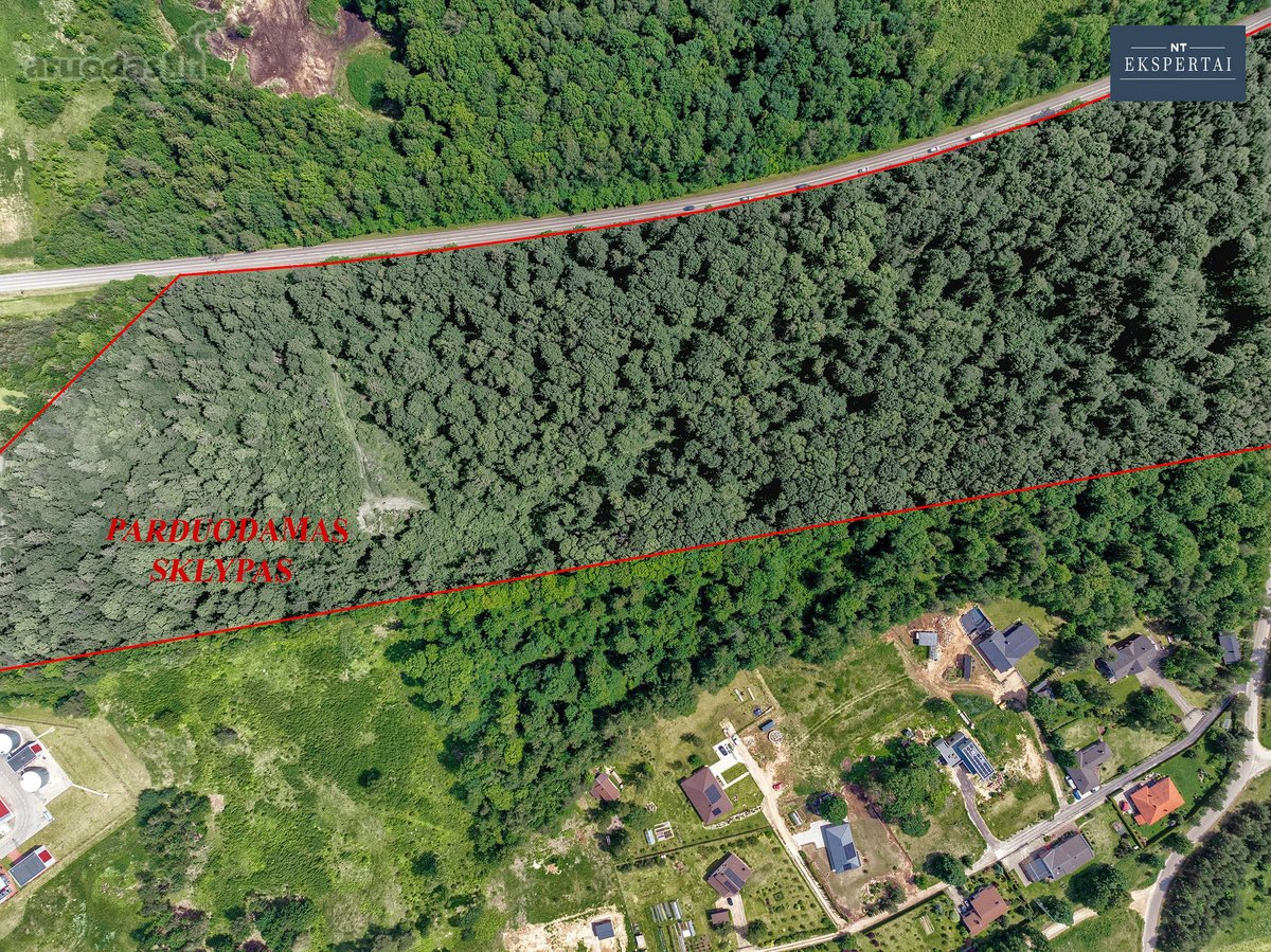 Vilniaus rajone,čekoniškių kaime,buivydiškių - nuotraukos Nr. 7