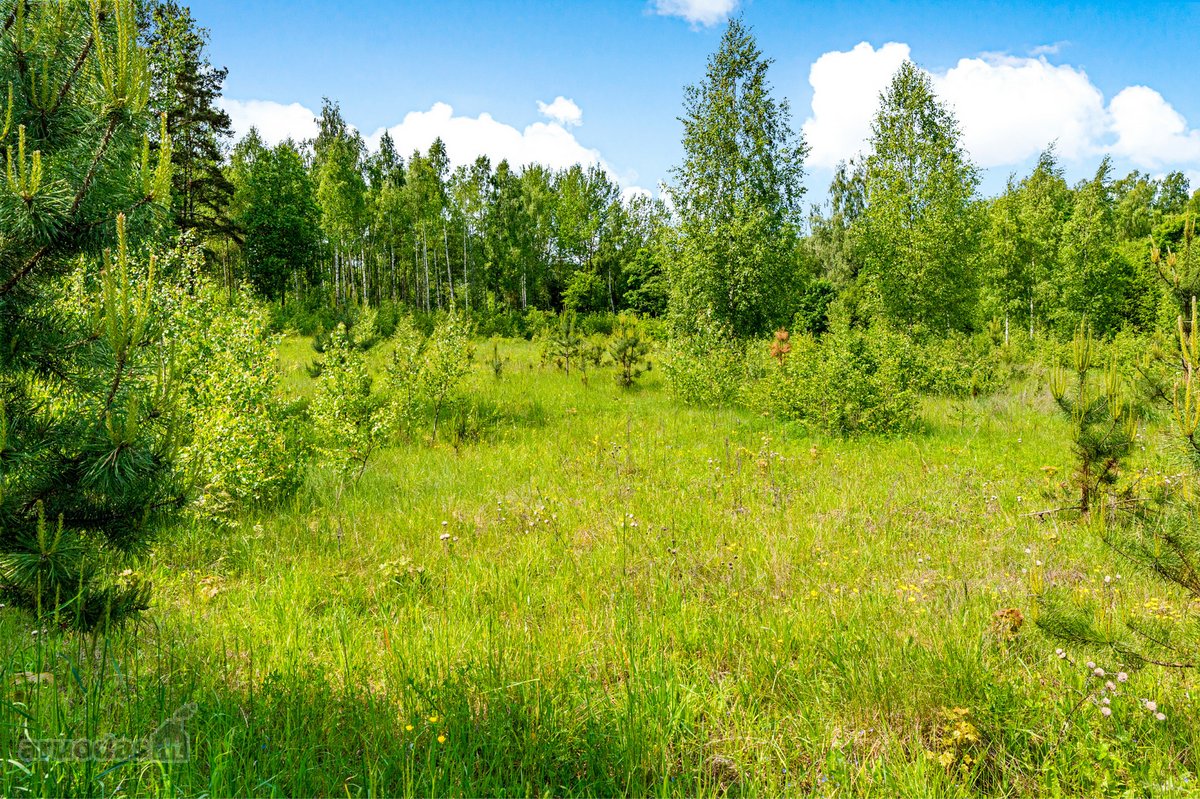 Išskirtinė galimybė įsigyti 40 arų sklypą su - nuotraukos Nr. 7