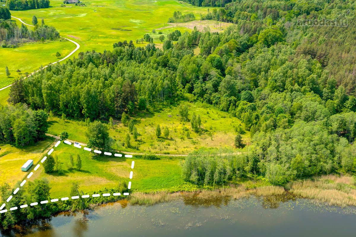 Išskirtinė galimybė įsigyti 40 arų sklypą su - nuotraukos Nr. 4