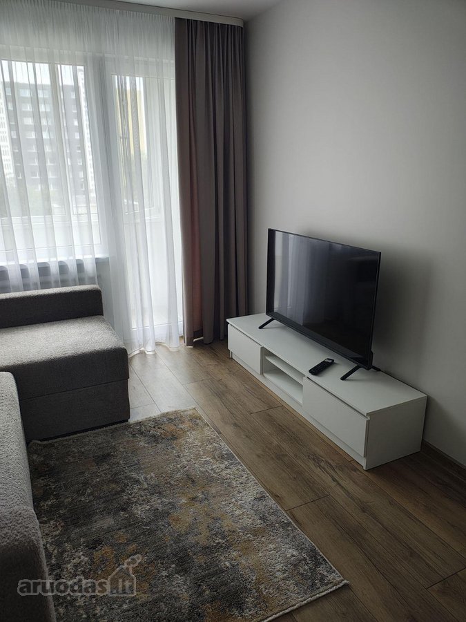Išnuomojamas butas po kapitalinio remonto: - nuotraukos Nr. 2