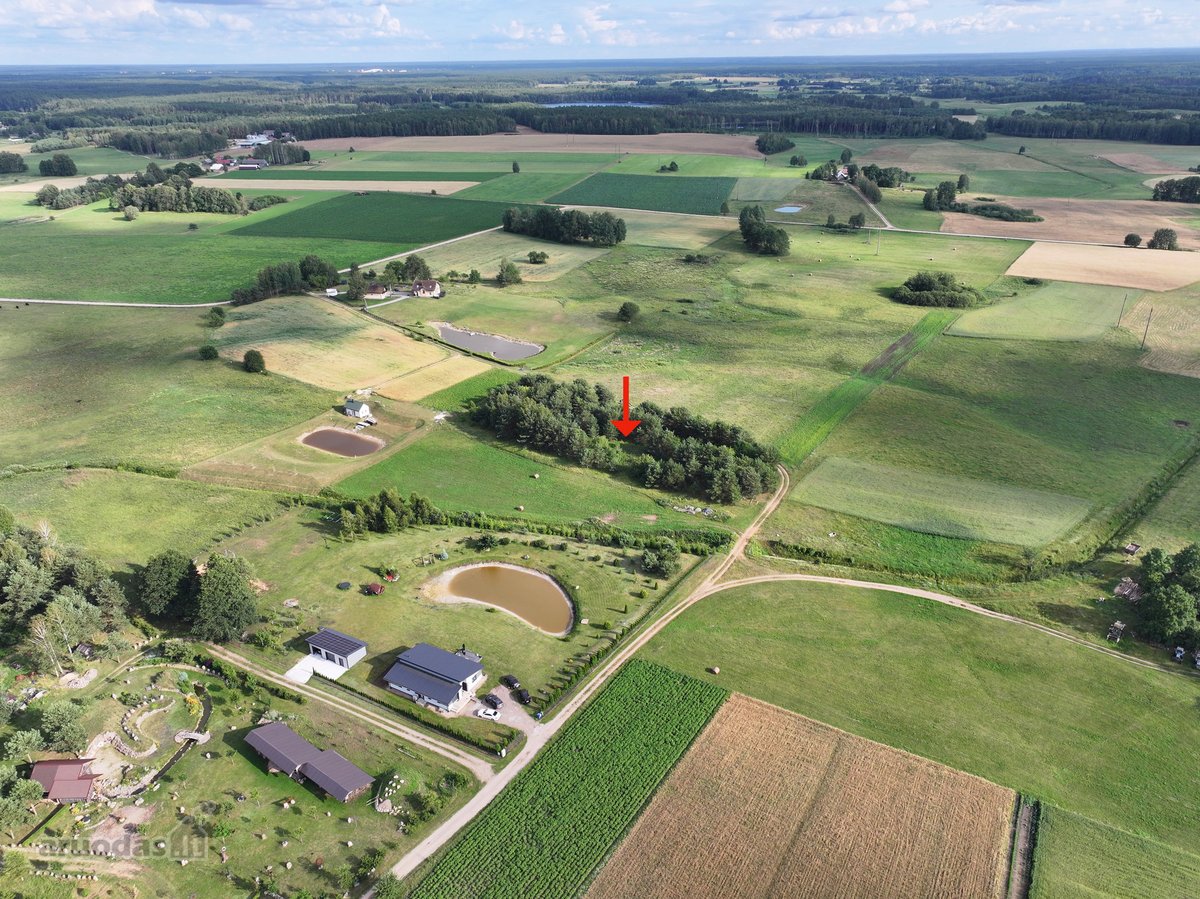 Parduodamas 0.5941 ha žemės ūkio paskirties
