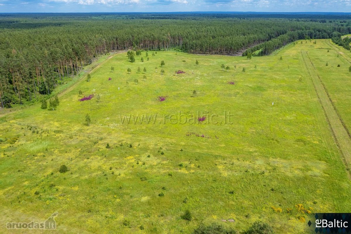 Išskirtinis pasiūlymas gamtos ir aviacijos - nuotraukos Nr. 18
