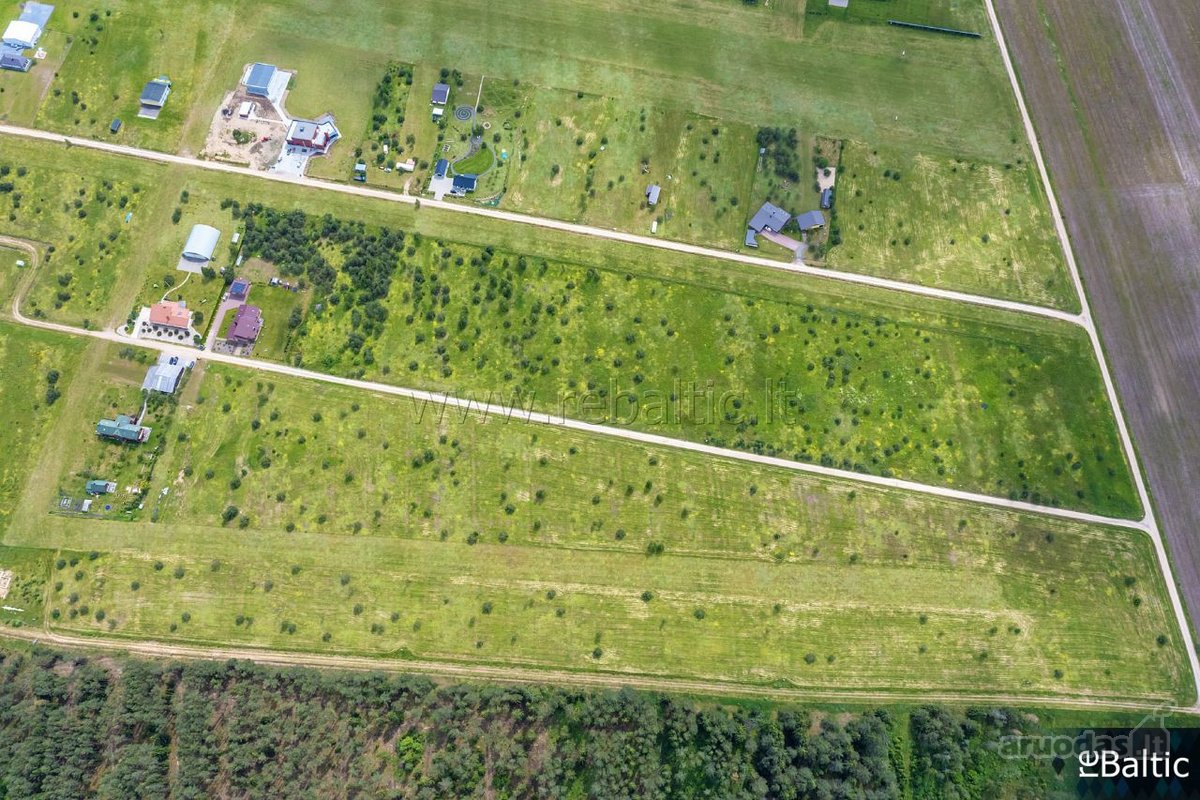 Išskirtinis pasiūlymas gamtos ir aviacijos - nuotraukos Nr. 20