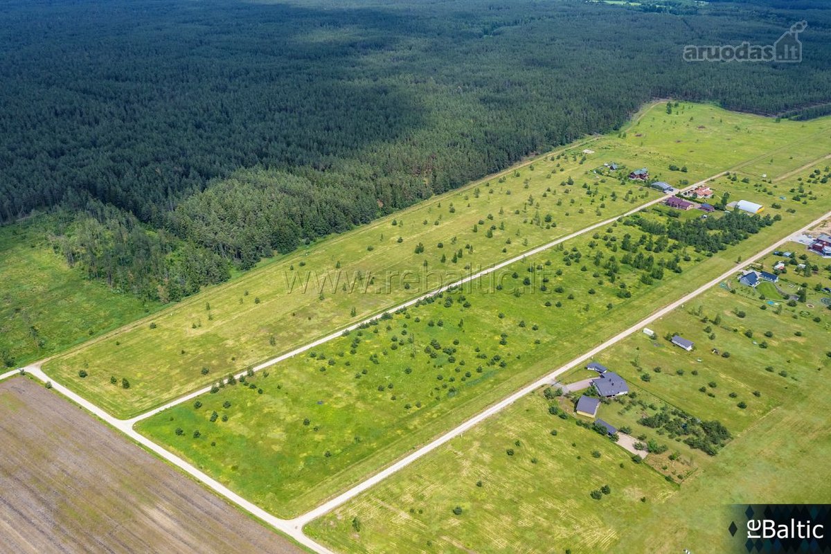Išskirtinis pasiūlymas gamtos ir aviacijos - nuotraukos Nr. 23