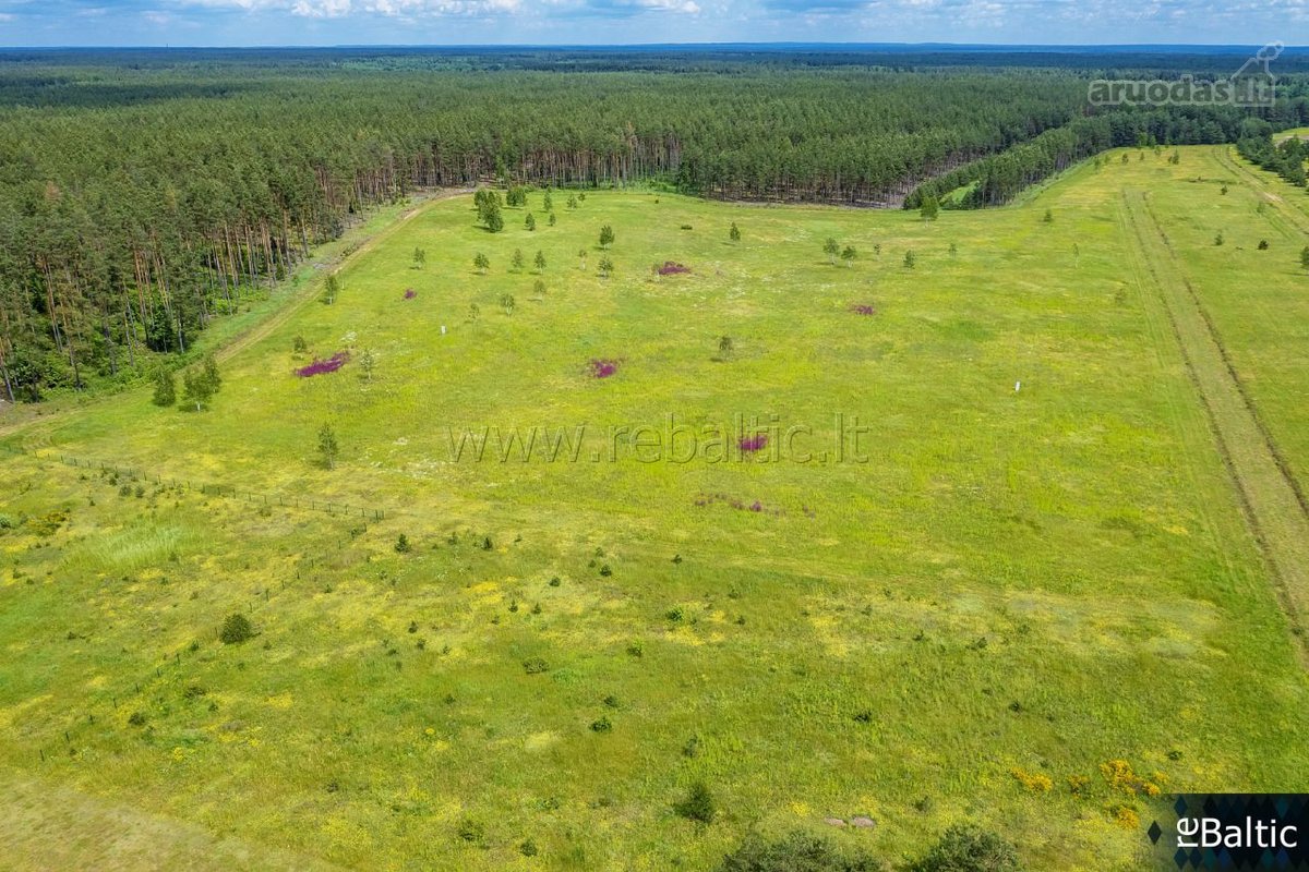 Išskirtinis pasiūlymas gamtos ir aviacijos - nuotraukos Nr. 18