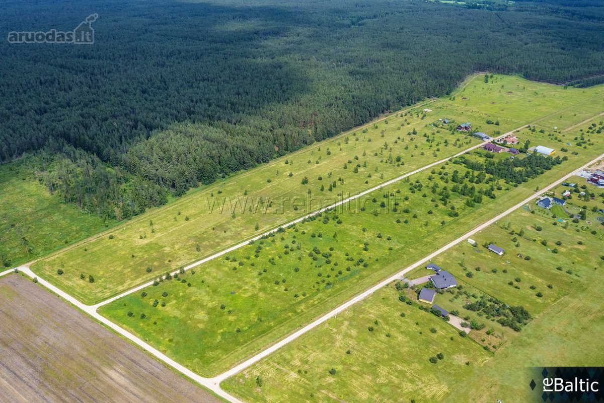 Išskirtinis pasiūlymas gamtos ir aviacijos - nuotraukos Nr. 23