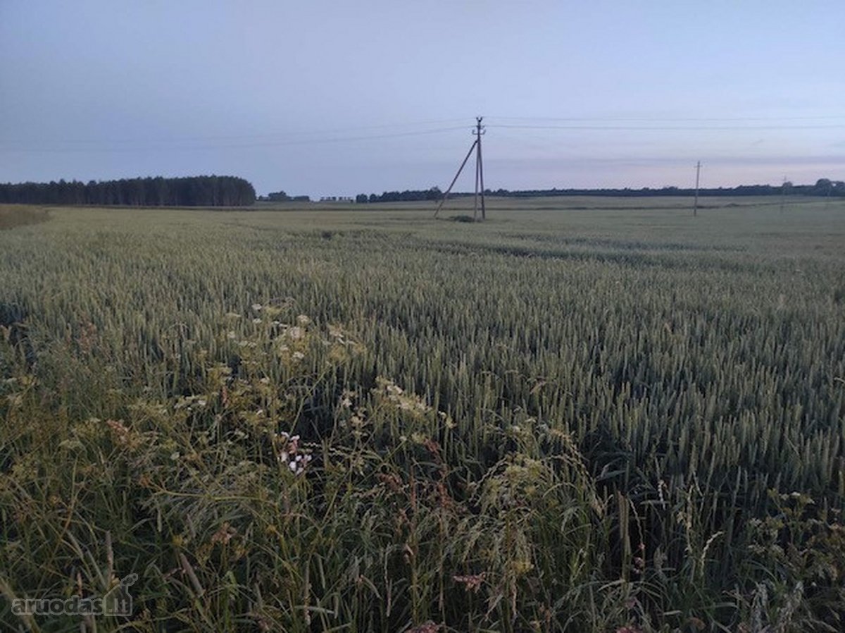 Parduodamas 5,3100ha bendro ploto žemės ūkio - nuotraukos Nr. 3
