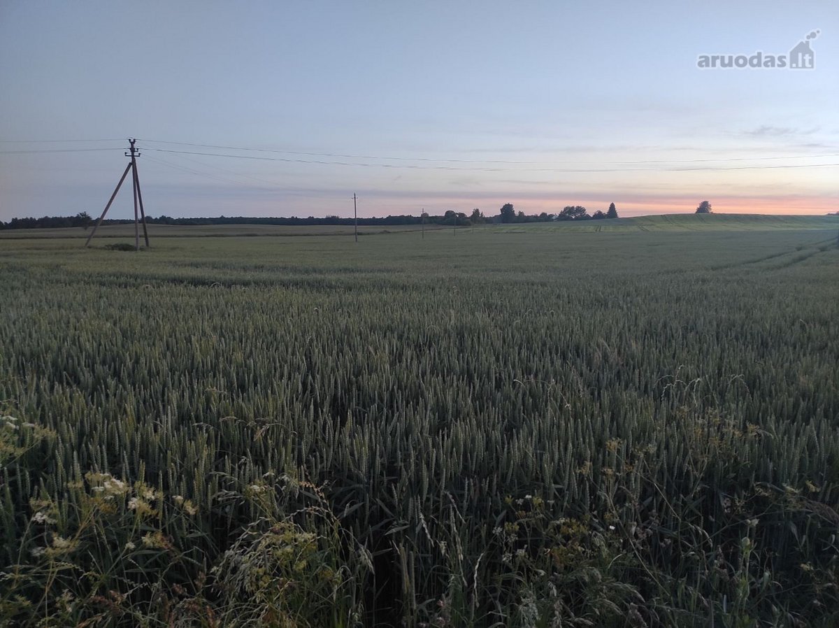Parduodamas 5,3100ha bendro ploto žemės ūkio - nuotraukos Nr. 4