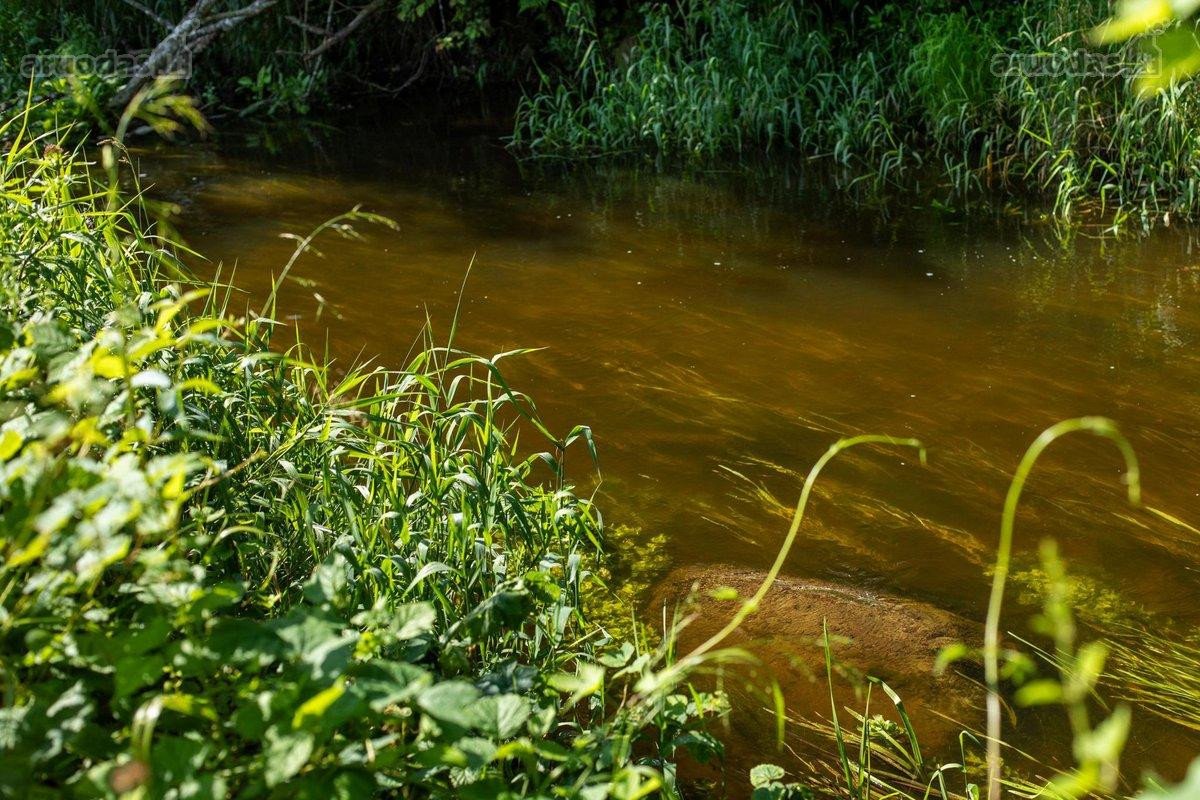 Parduodu Unikalų 7 Ha Sklypą Su Upės Pakrante - nuotraukos Nr. 13