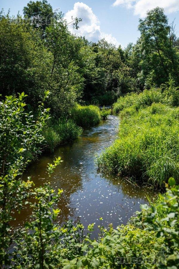 Parduodu Unikalų 7 Ha Sklypą Su Upės Pakrante - nuotraukos Nr. 16